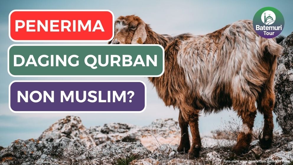 Non Muslim Menerima Daging Hewan Qurban, Bolehkah??? 